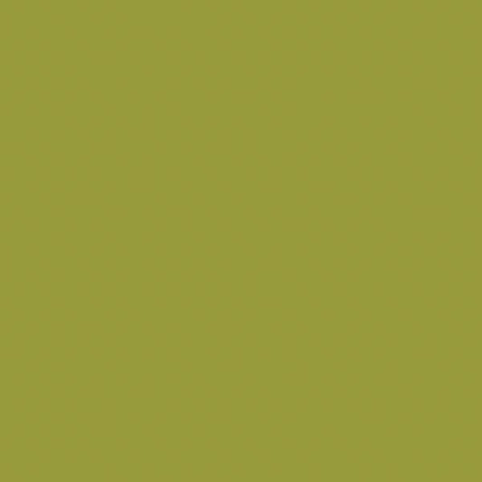 2133 Riley Blake Designs Confetti Cotton Solid Moss C120-MOSS