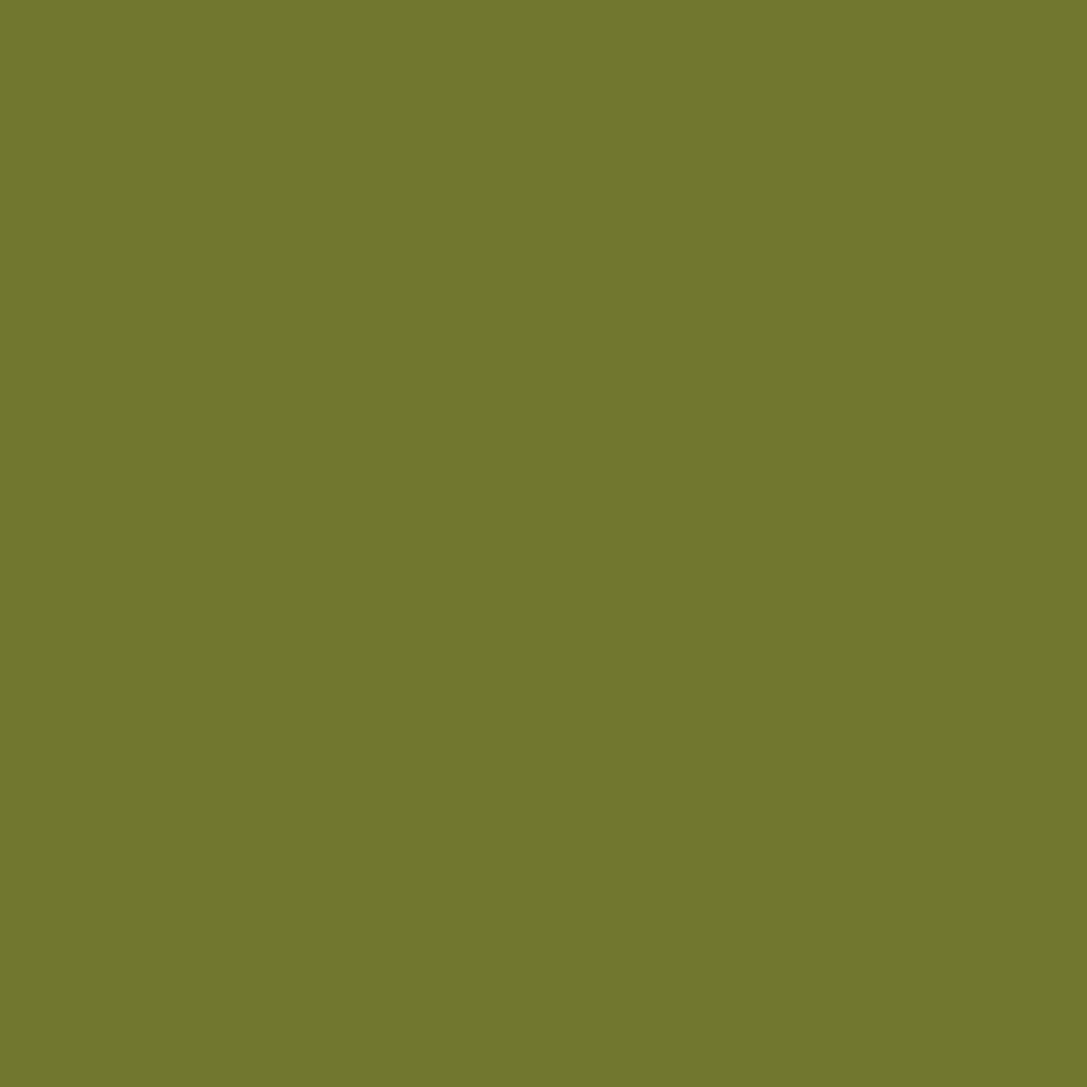 2140 Riley Blake Designs Confetti Cotton Solid Parsley C120-PARSLEY