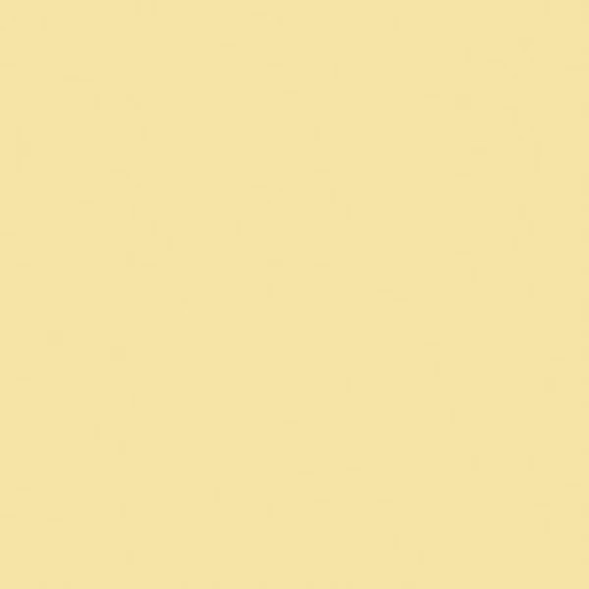 2128 Riley Blake Designs Confetti Cotton Solid Sunshine C120-SUNSHINE