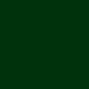 2127 Riley Blake Designs Confetti Cotton Solid Woodland C120-WOODLAND