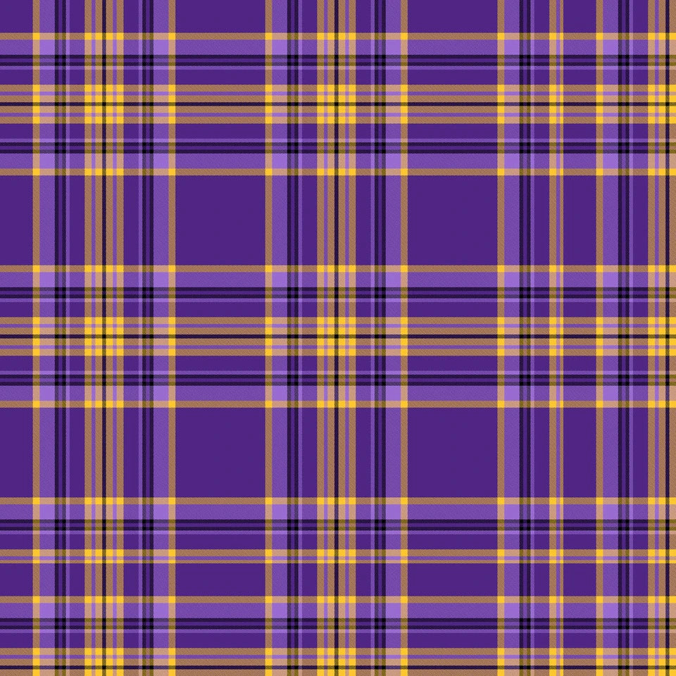 9969 End Zone Plaid Blender Purple Yellow FAT70923-D