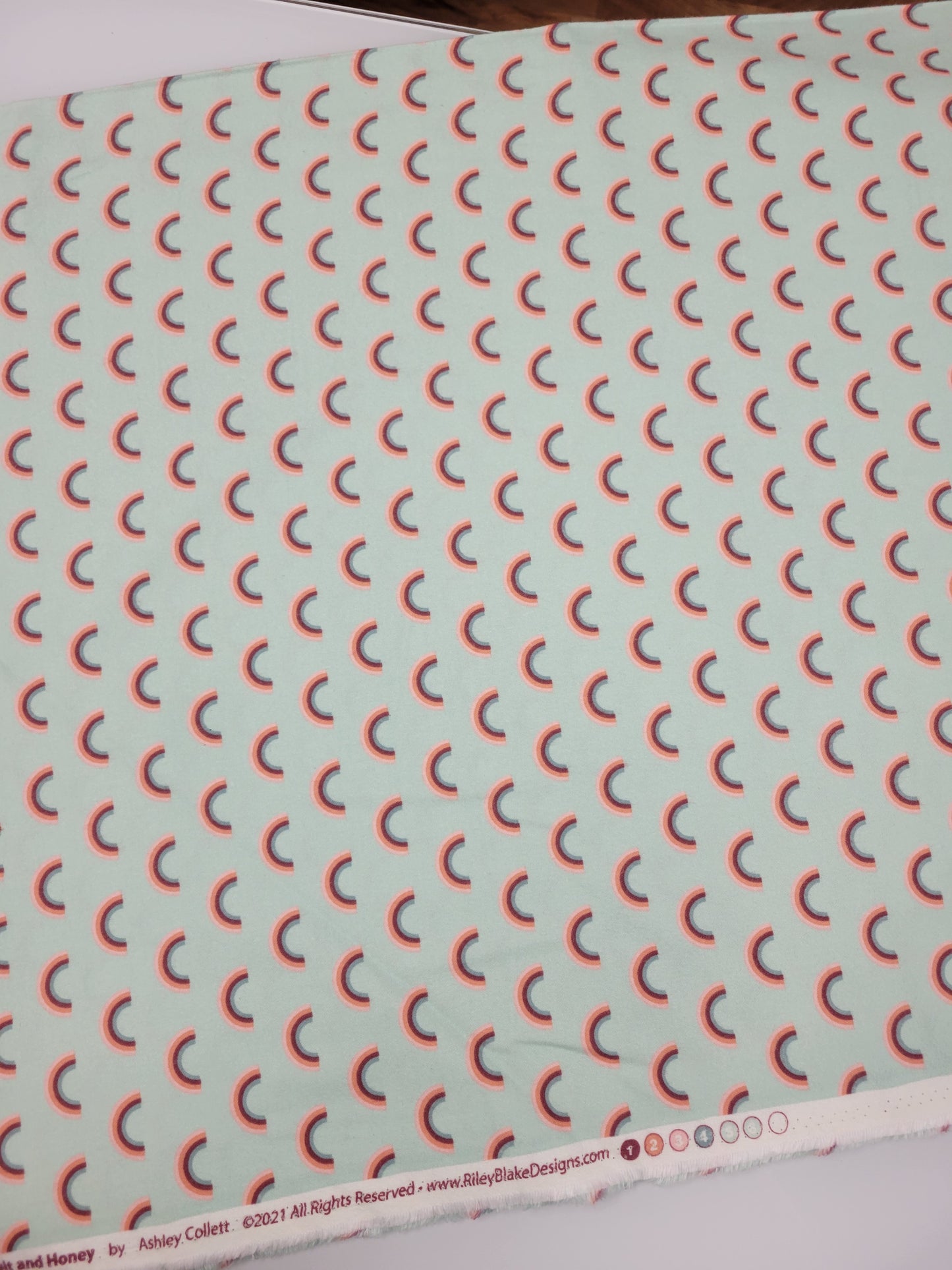 Riley Blake Flannel Salt and Honey Rainbows Mint F11452
