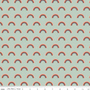 Riley Blake Flannel Salt and Honey Rainbows Mint F11452