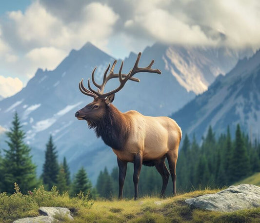 PANL-440 Mook Fabrics Panel Mountain Watcher Elk 142117